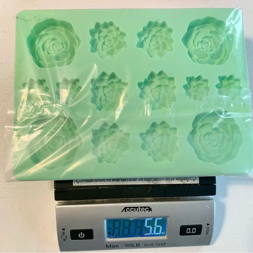 Wilton Succulent Mold + Pig Silicone Candy Chocolate Mold Set of 2